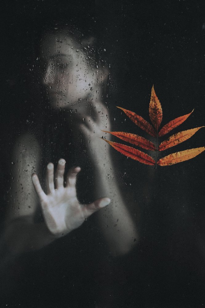 Слёзы ноября