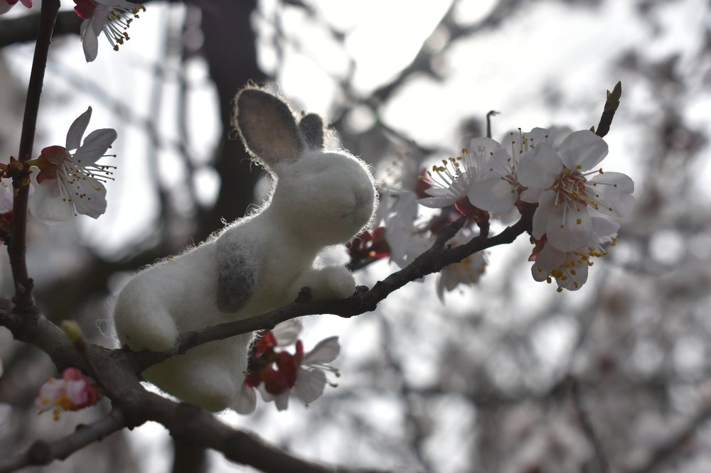 Photograph by Назар Кривенко