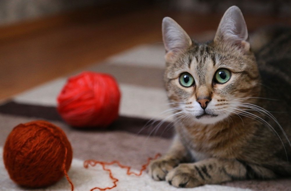 Photograph by Наталья Виноградова