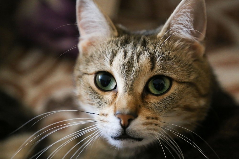 Photograph by Наталья Виноградова