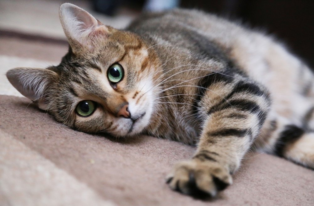 Photograph by Наталья Виноградова