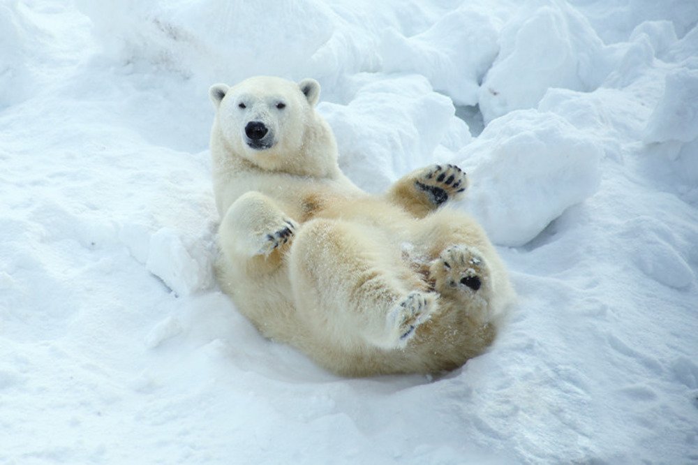 Photograph by Ольга Рогова