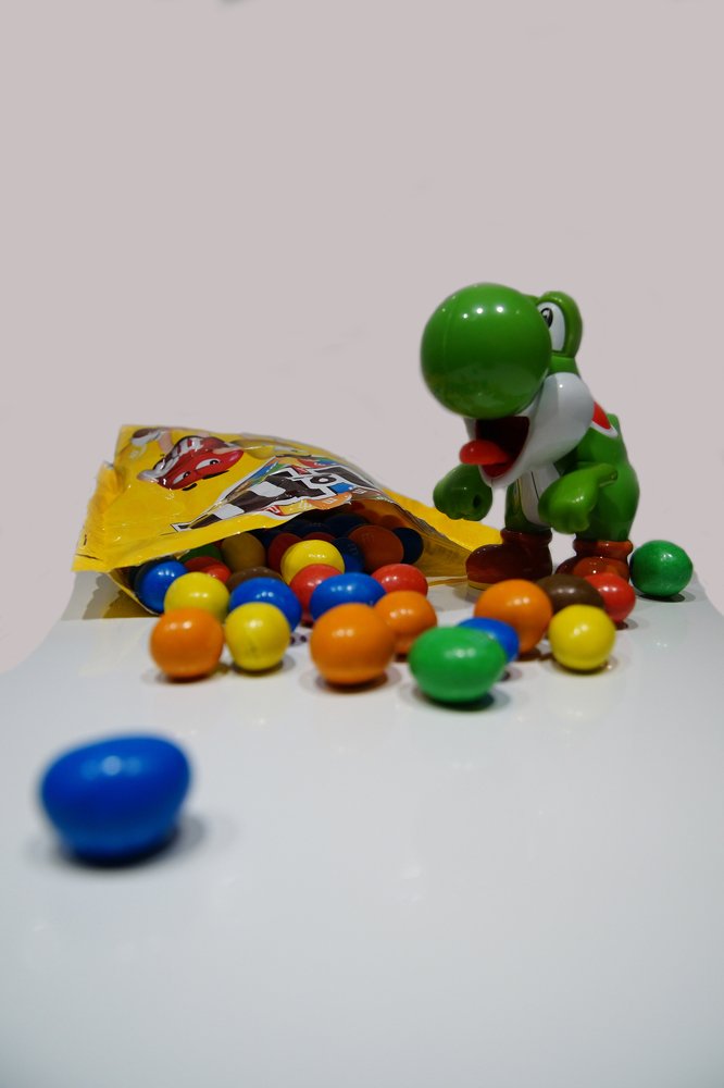 Photograph by Mário C.