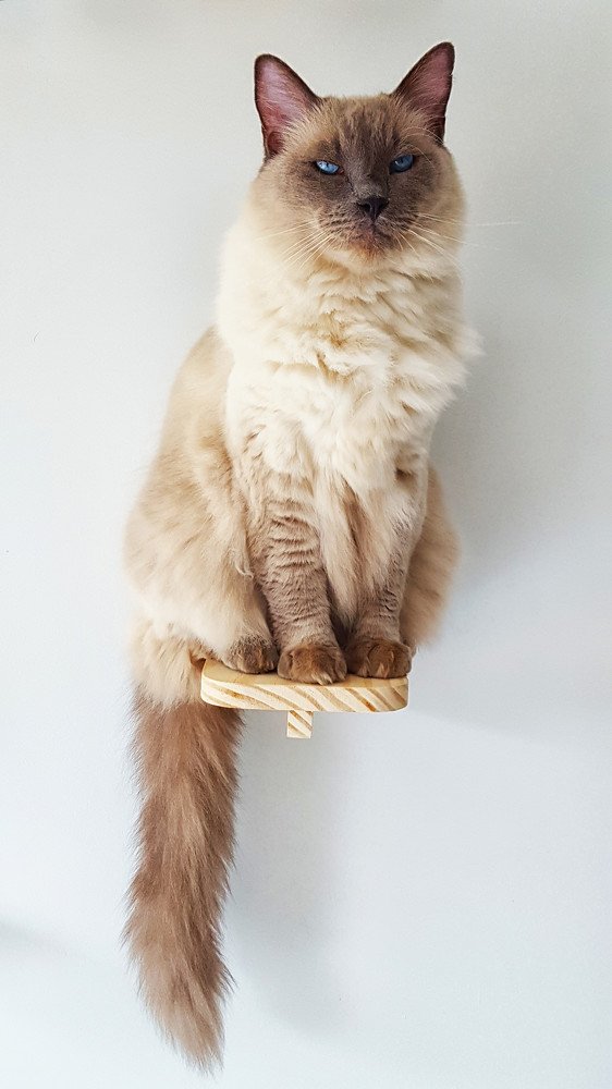 Photo #3524388