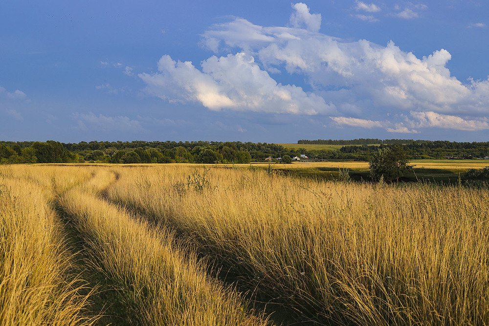 Photograph by Елена Ипатова