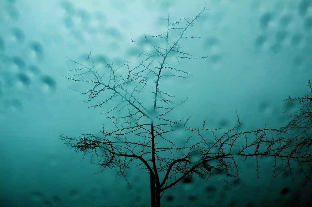 Фотография автора Kumar Pallav