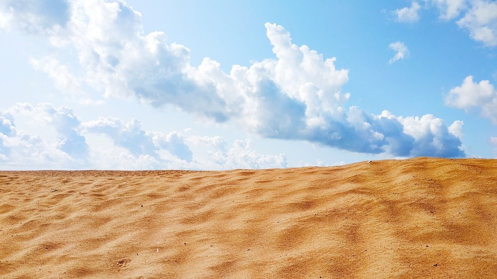 Photograph by Екатерина Бевзенко