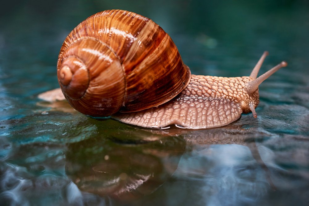 Photograph by Сергей Юрченко