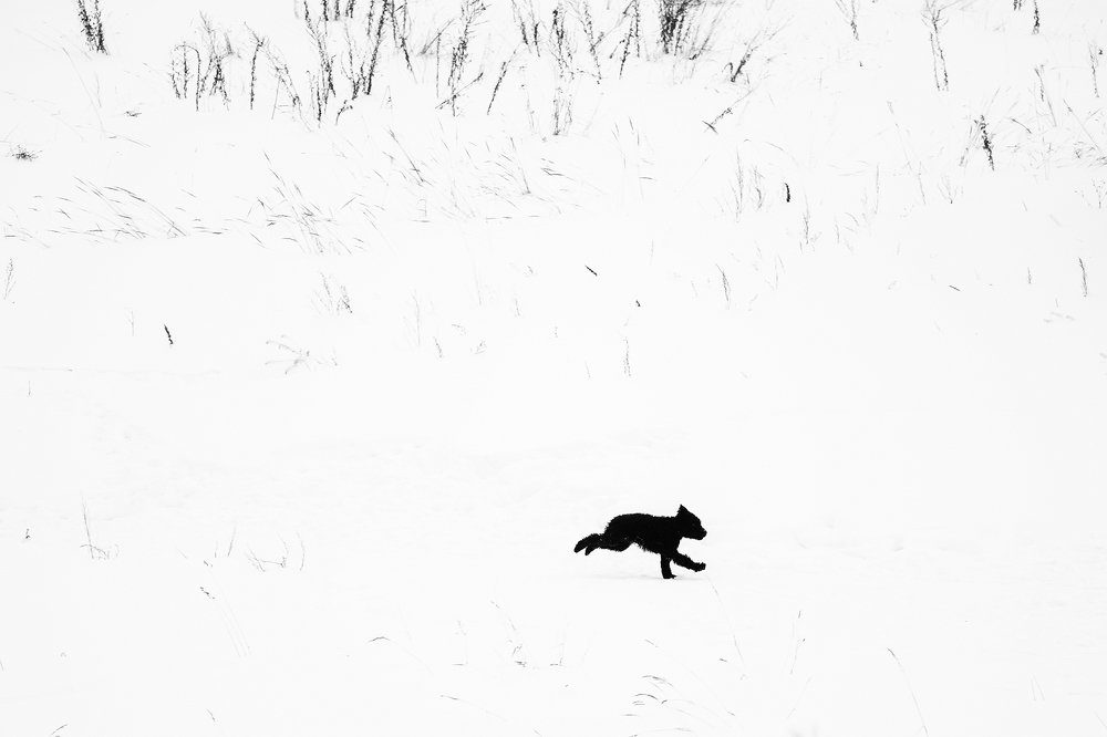 Photograph by Екатерина Яковлевская