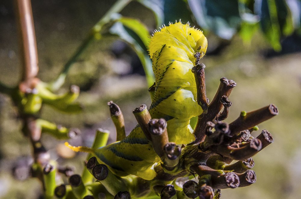 Photograph by Сергей Абрамов