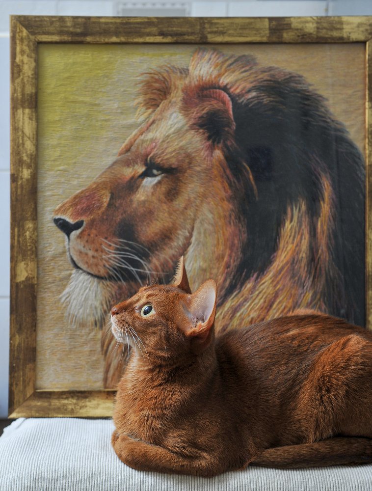 Photograph by Mihail Frolov