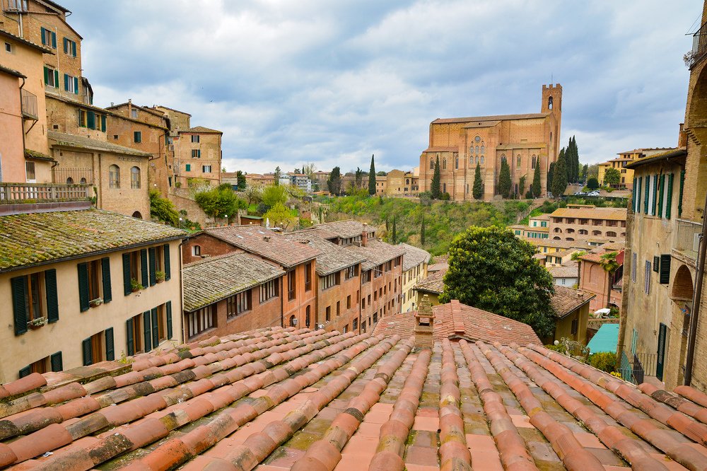 Photograph by Эдуард Шадров