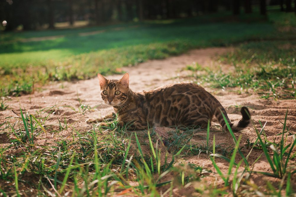 Photograph by Наталья Мизинова