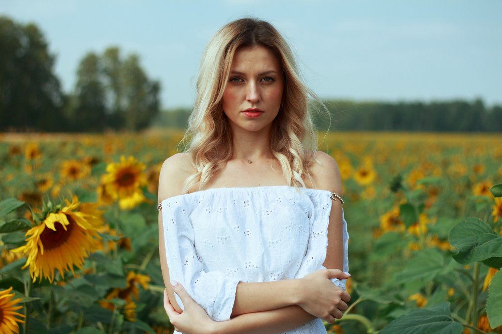 Подсолнухи