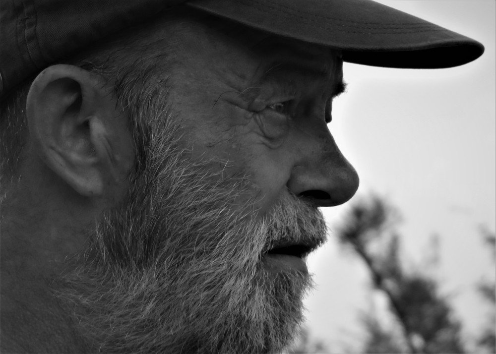 Photo #3524827