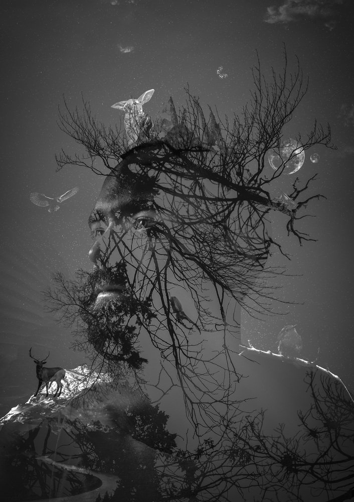 The boy from the forest