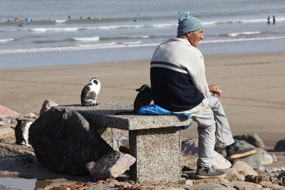 Photograph by Владимир Леликов