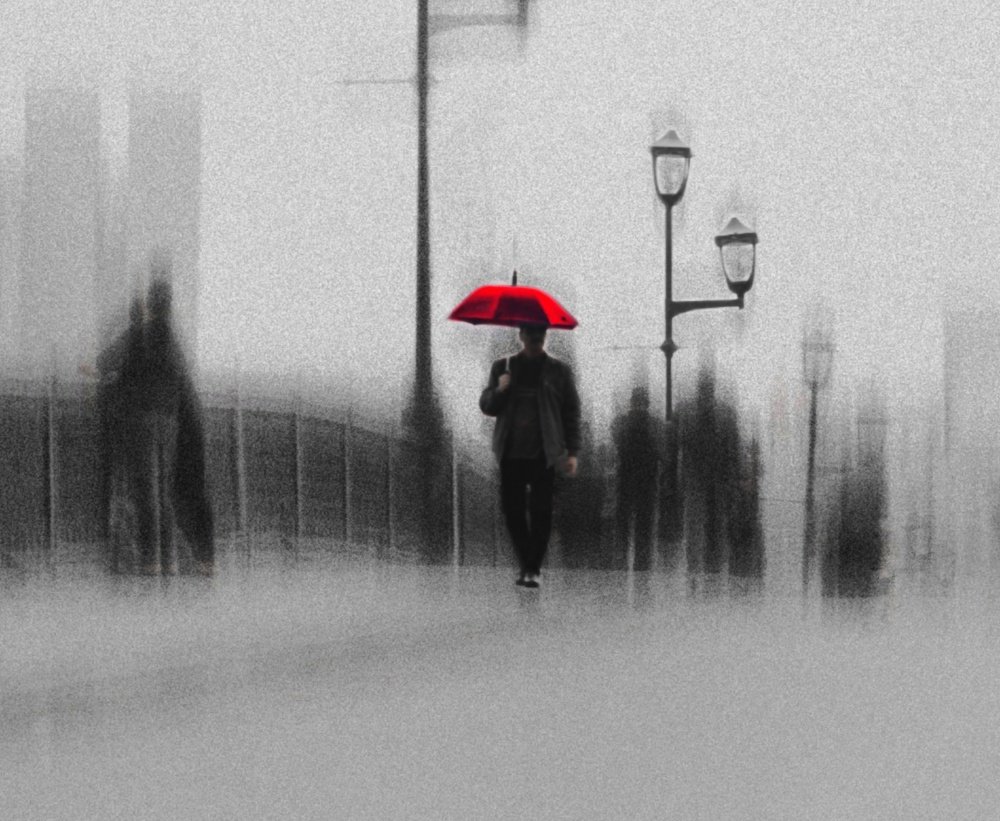 Photograph by Ahmed Saad