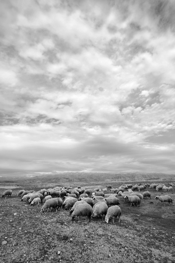 Photograph by Ahmed Saad