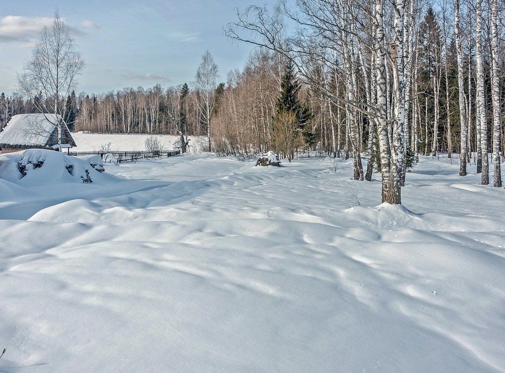 Фотография автора Валерий Клейменов