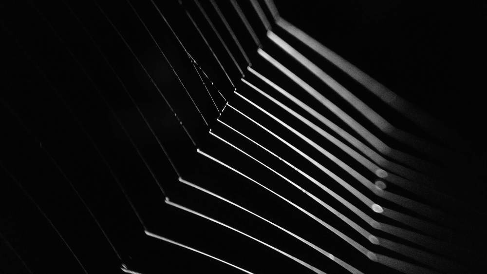 Photograph by Bistupada Mondal