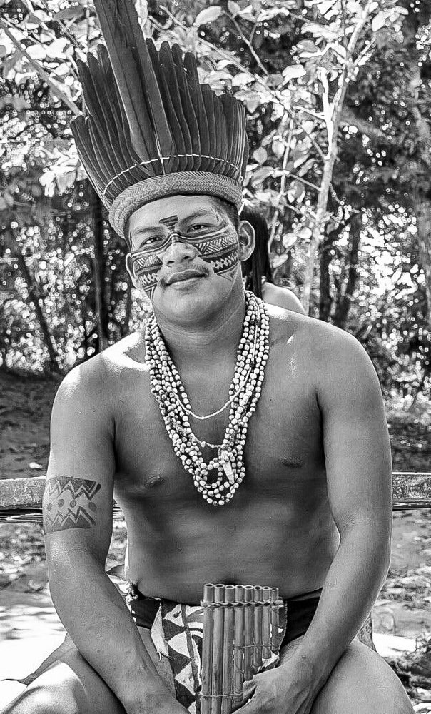 Фотография автора david xavier de carvalho