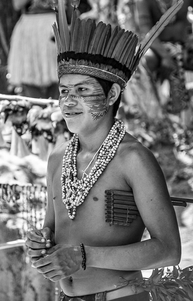 Фотография автора david xavier de carvalho