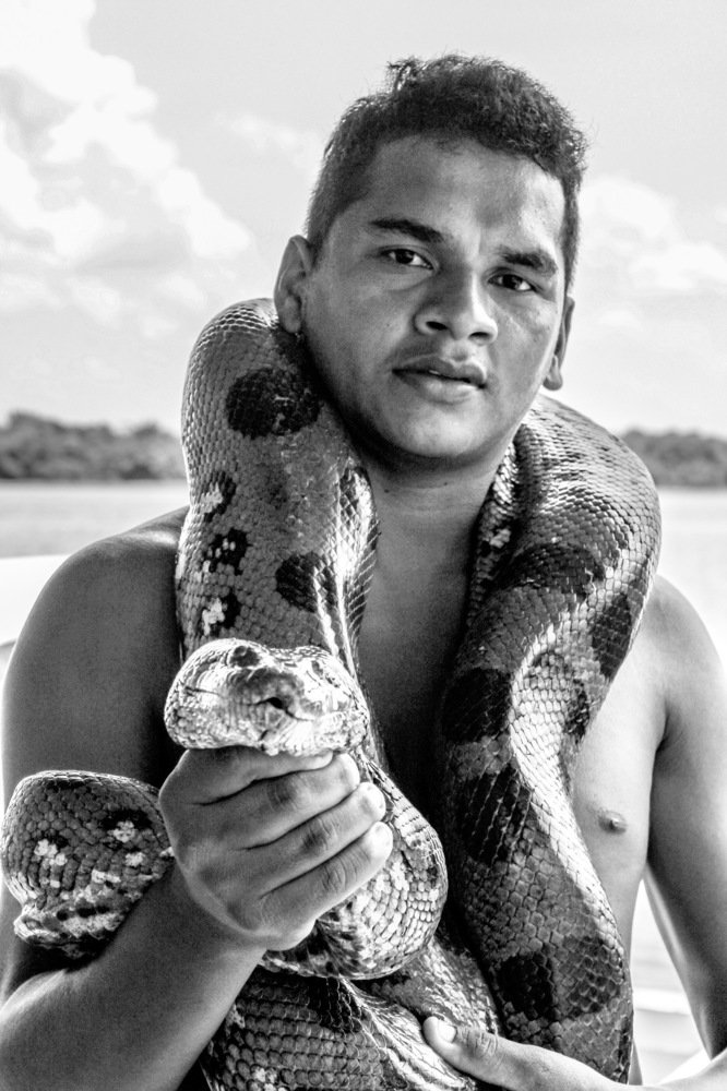 Фотография автора david xavier de carvalho