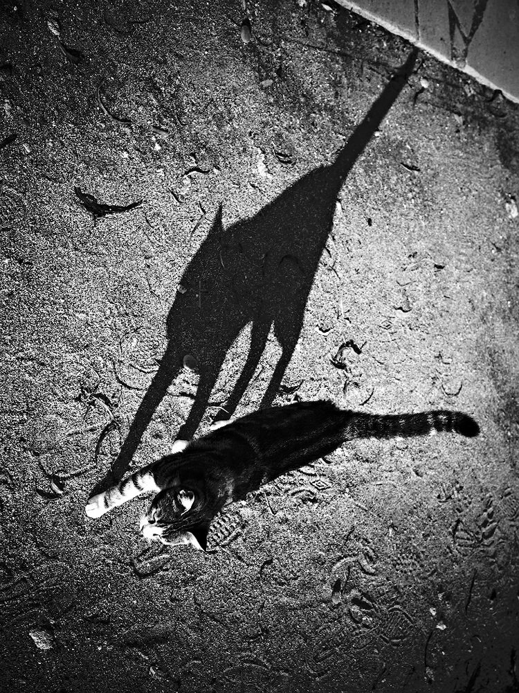 Photograph by Александр Константинов