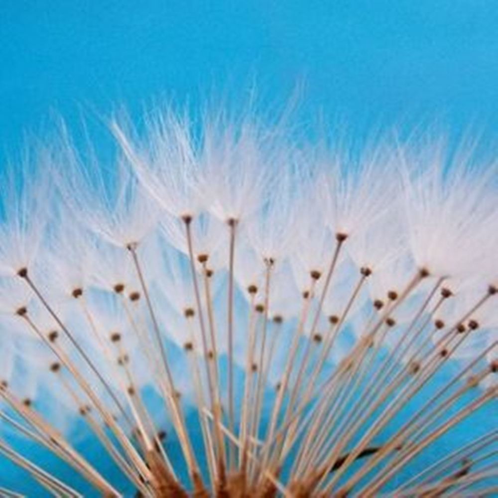 Photograph by Людмила Гончарова