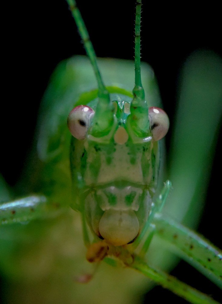 Photograph by Bistupada Mondal