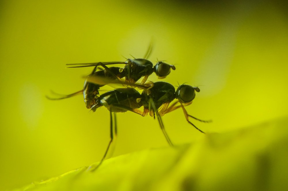 Photograph by Bistupada Mondal