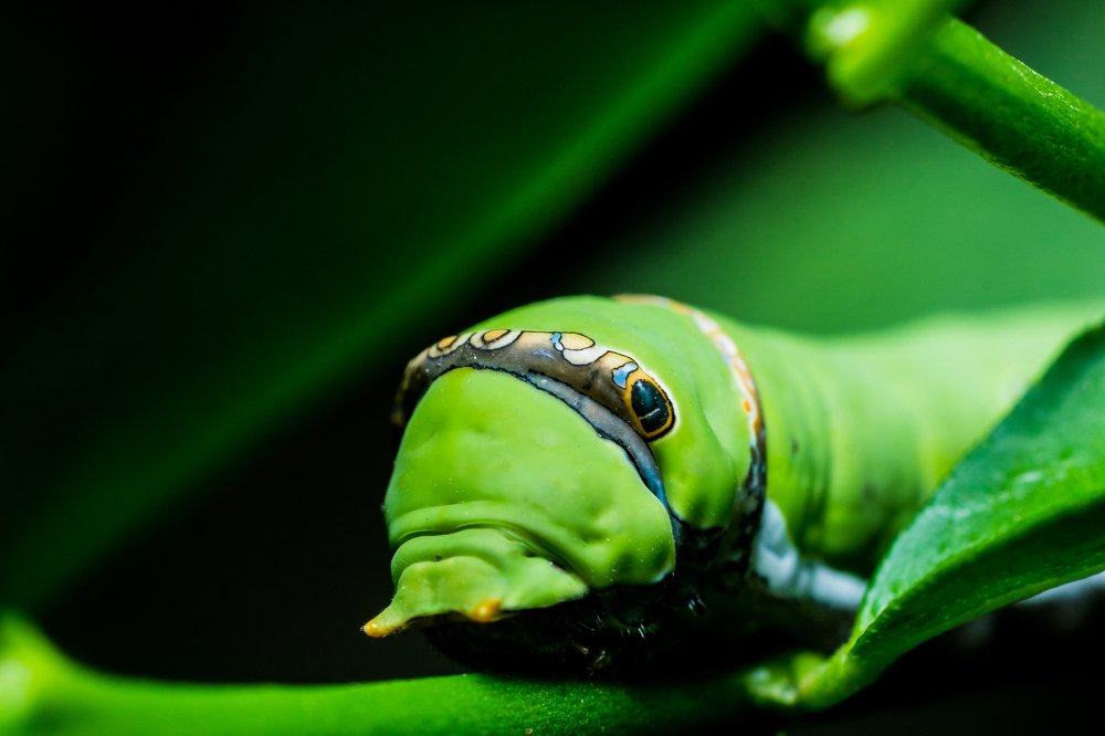 I will have a colourful future