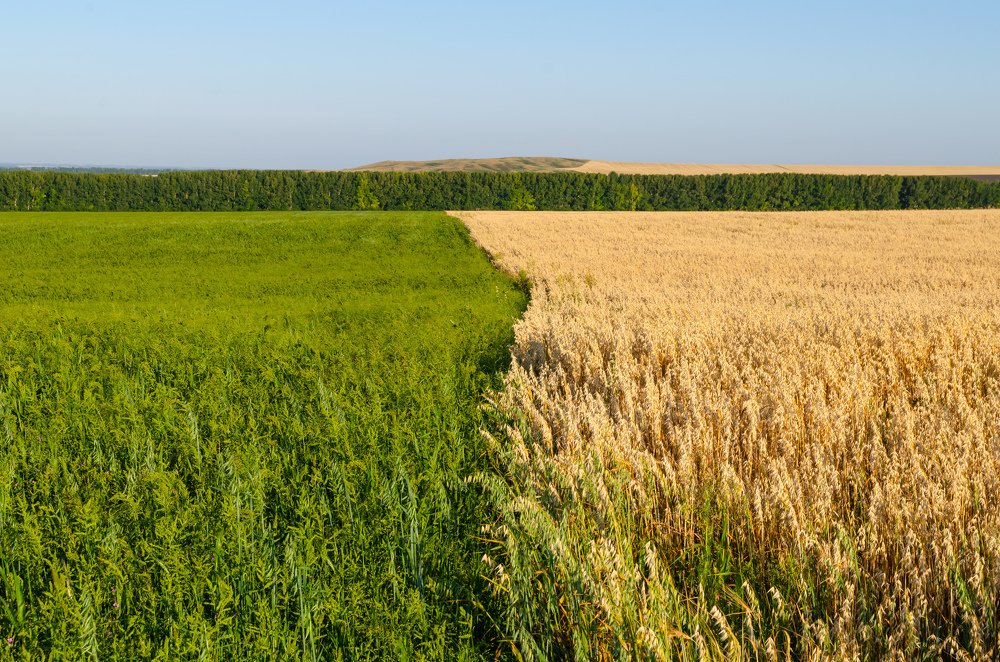 Две стороны