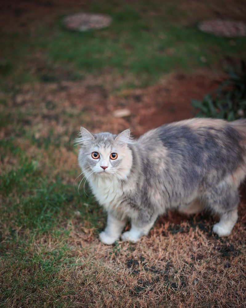 Photograph by lia indriani