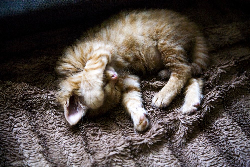 Photograph by Усатый Александр