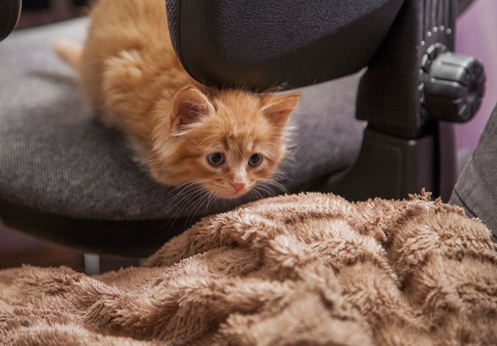 Photograph by Усатый Александр