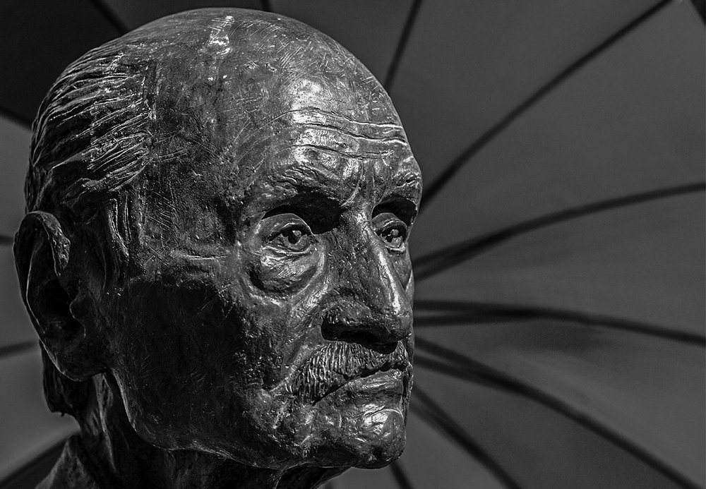 Photograph by hamed moradi