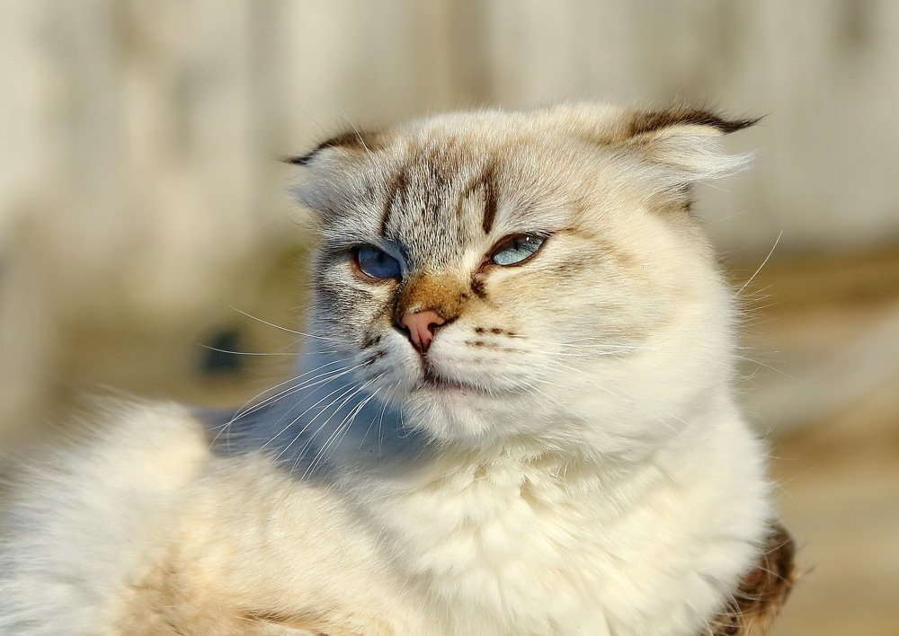 Photograph by Андрей Брагин