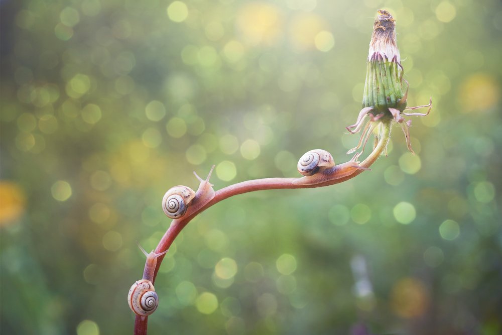 Photograph by Сергей Троицкий