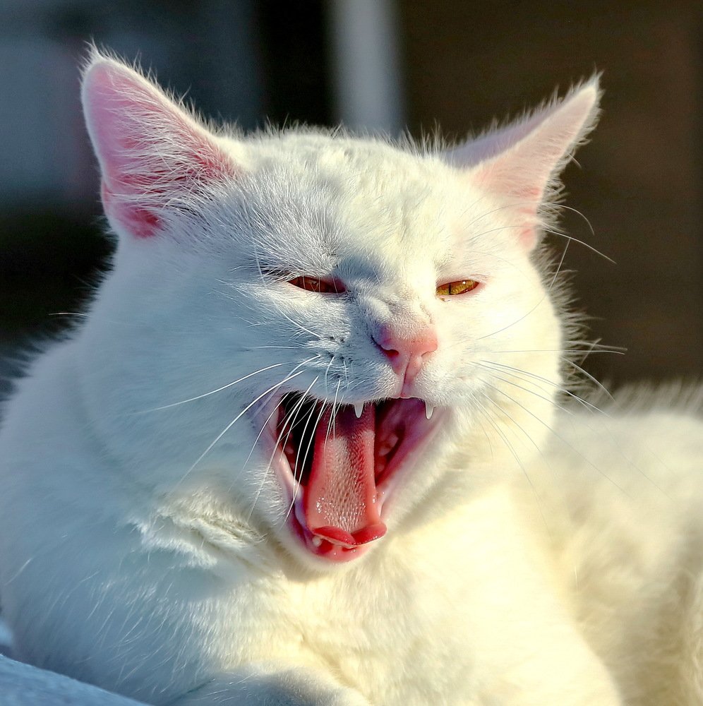 Photograph by Андрей Брагин