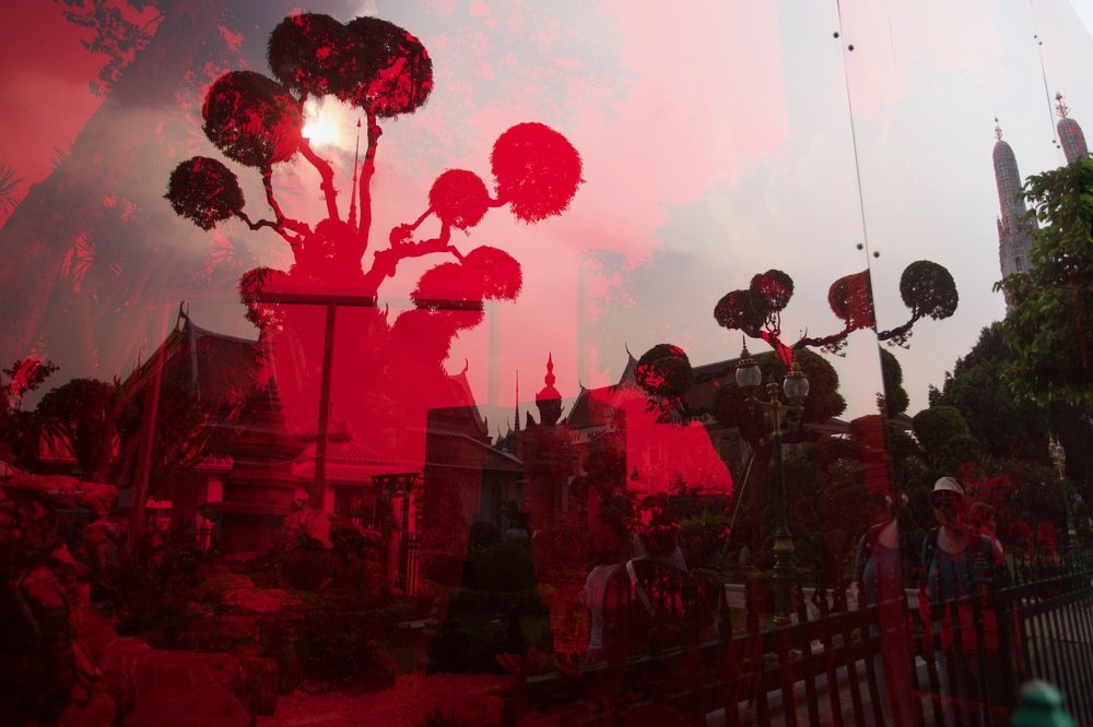 Photograph by Наталия Шибаева