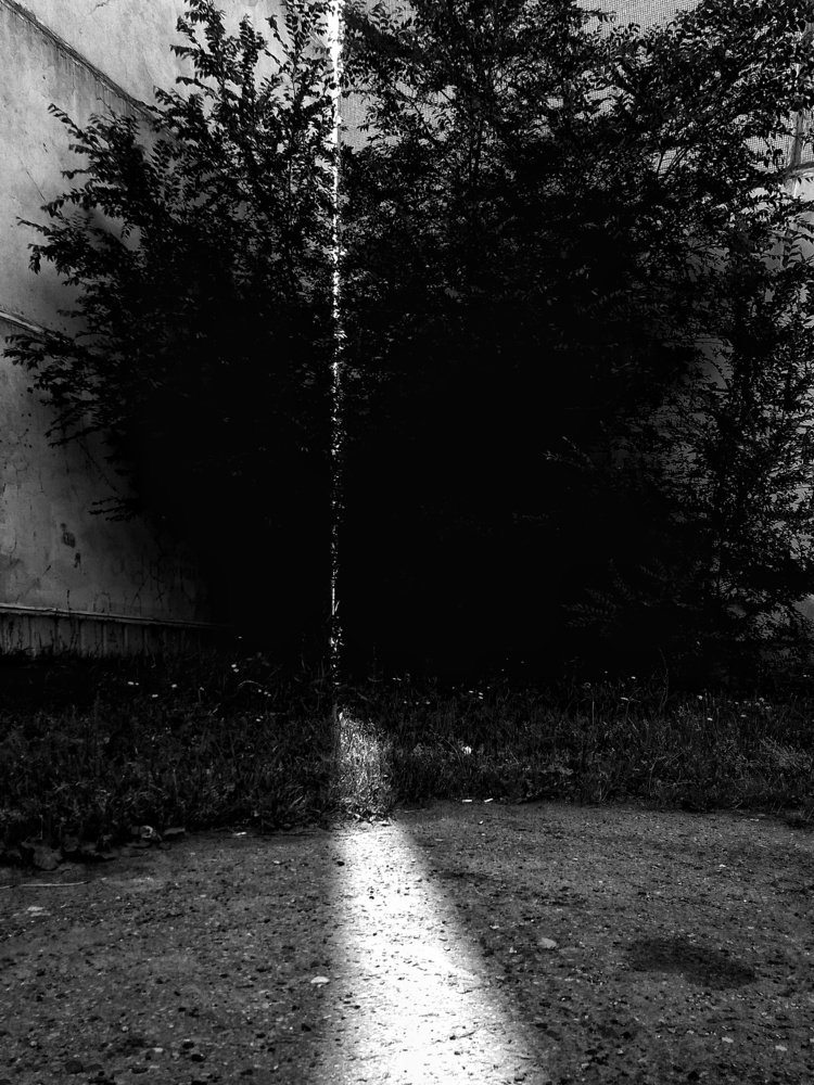 Photograph by Евгения Цой