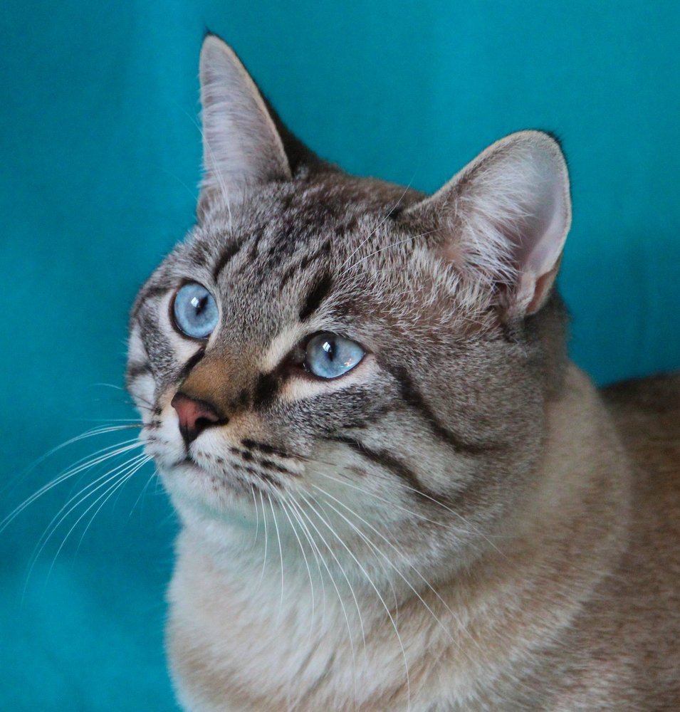 Photograph by Ирина Мамичева