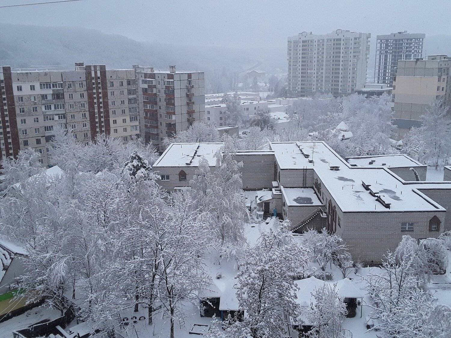 Photo #3525433