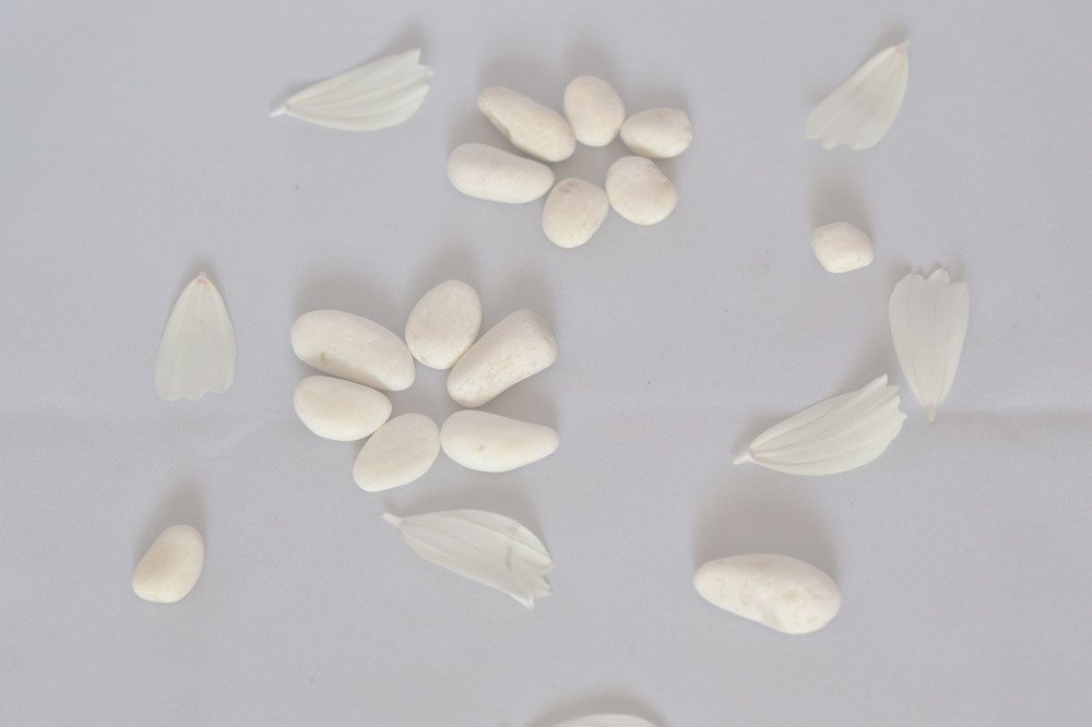 белые камни и лепестки