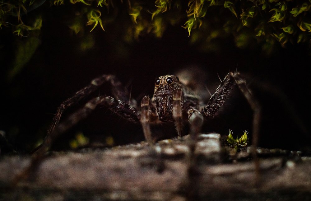 Photograph by Мария Бузыцкая