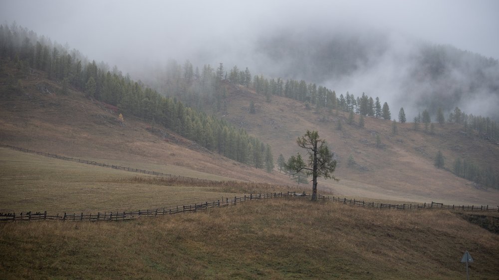 Photograph by Aleksei Kurlov