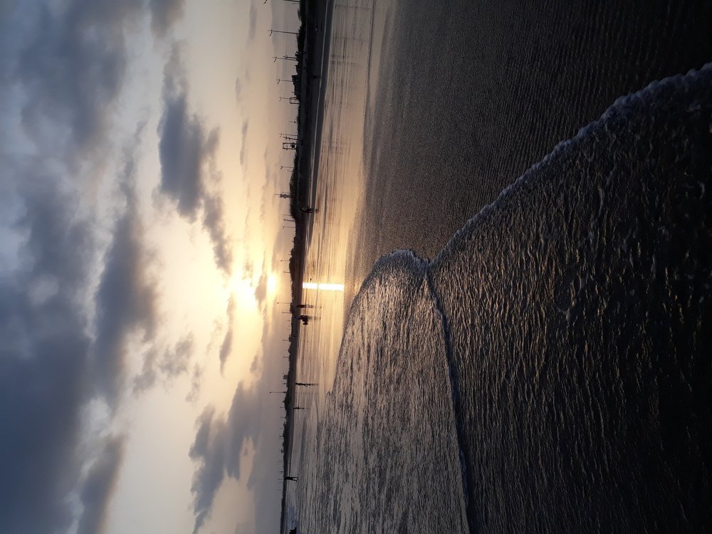Photo #3525562