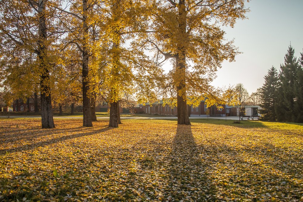 Photograph by Михаил Строев